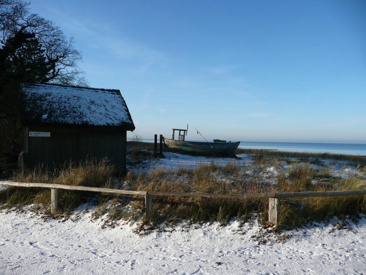 Residenz Am Strand Wohnung 2-36 Zingst Exteriör bild